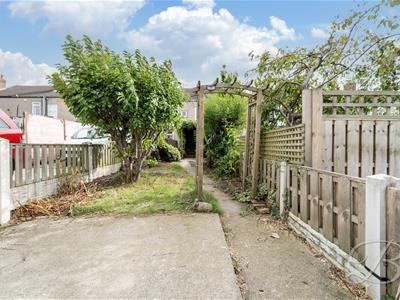 Picture 24